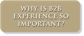 WHY IS B2BEXPERIENCE SOIMPORTANT?